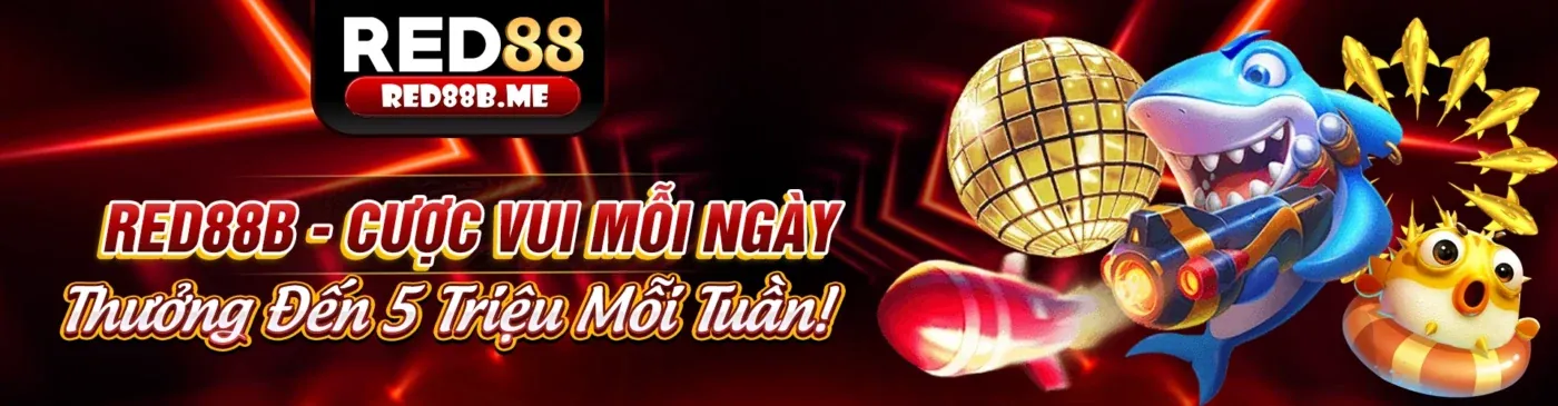 Hình ảnh đại diện cho cam kết tuân thủ GDPR của vb77